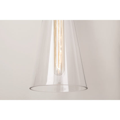 1 Light Pendant