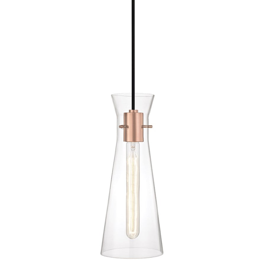 1 Light Pendant