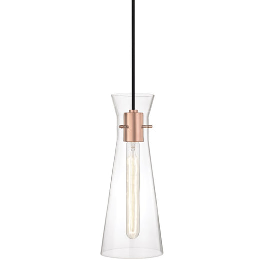 1 Light Pendant