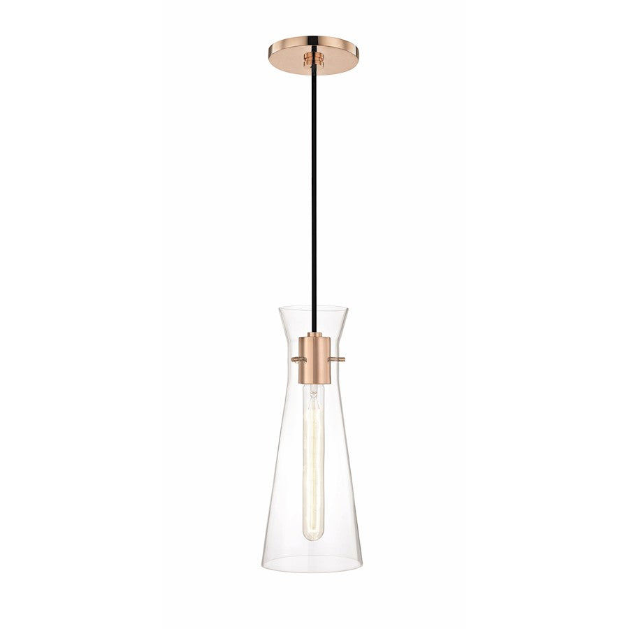 1 Light Pendant