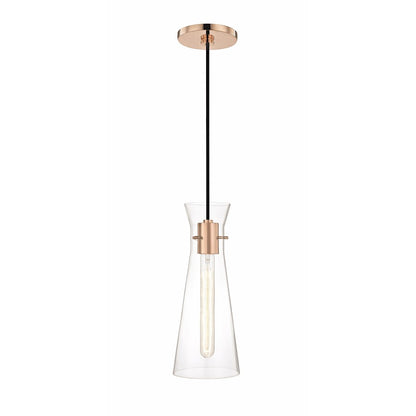 1 Light Pendant