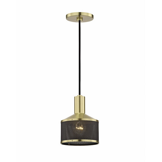 1 Light Pendant