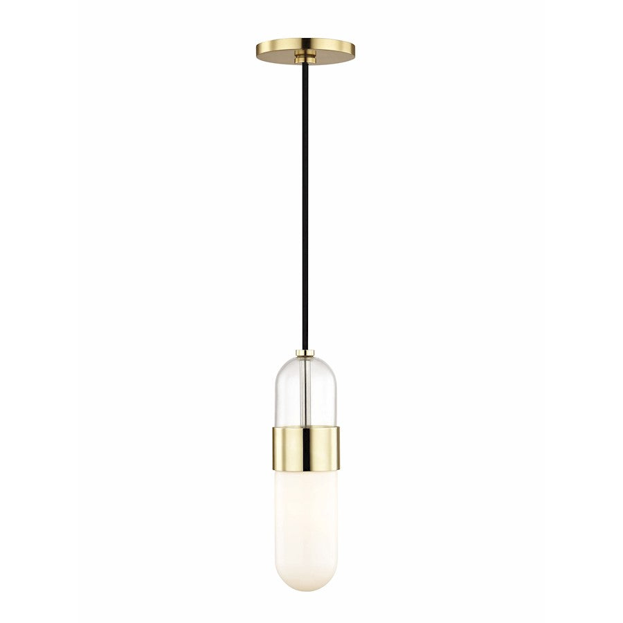 1 Light Pendant