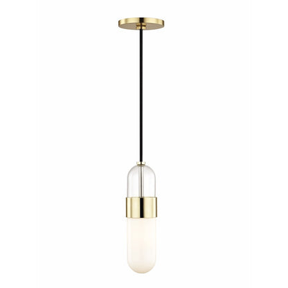 1 Light Pendant