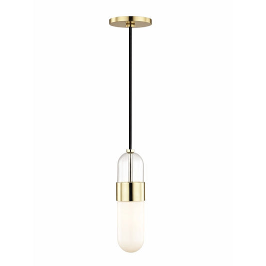 1 Light Pendant