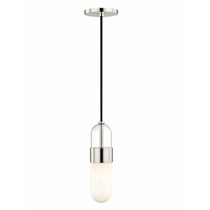 1 Light Pendant