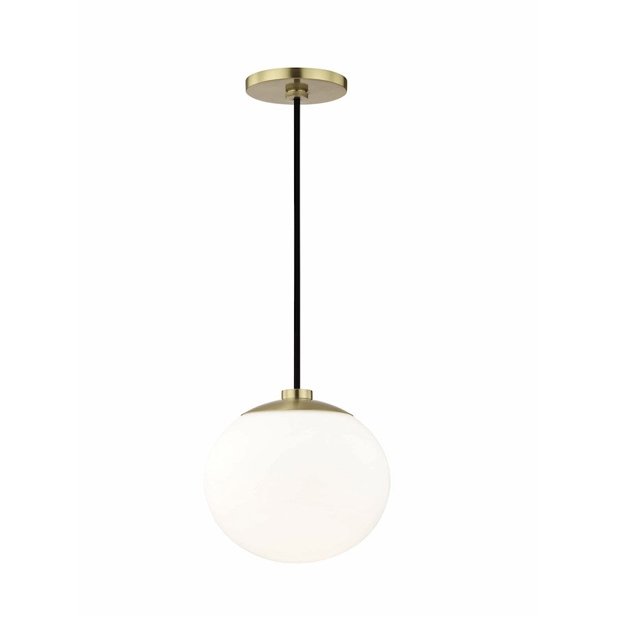 1 Light Pendant
