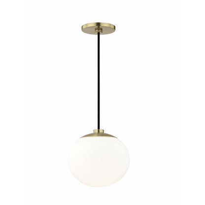 1 Light Pendant