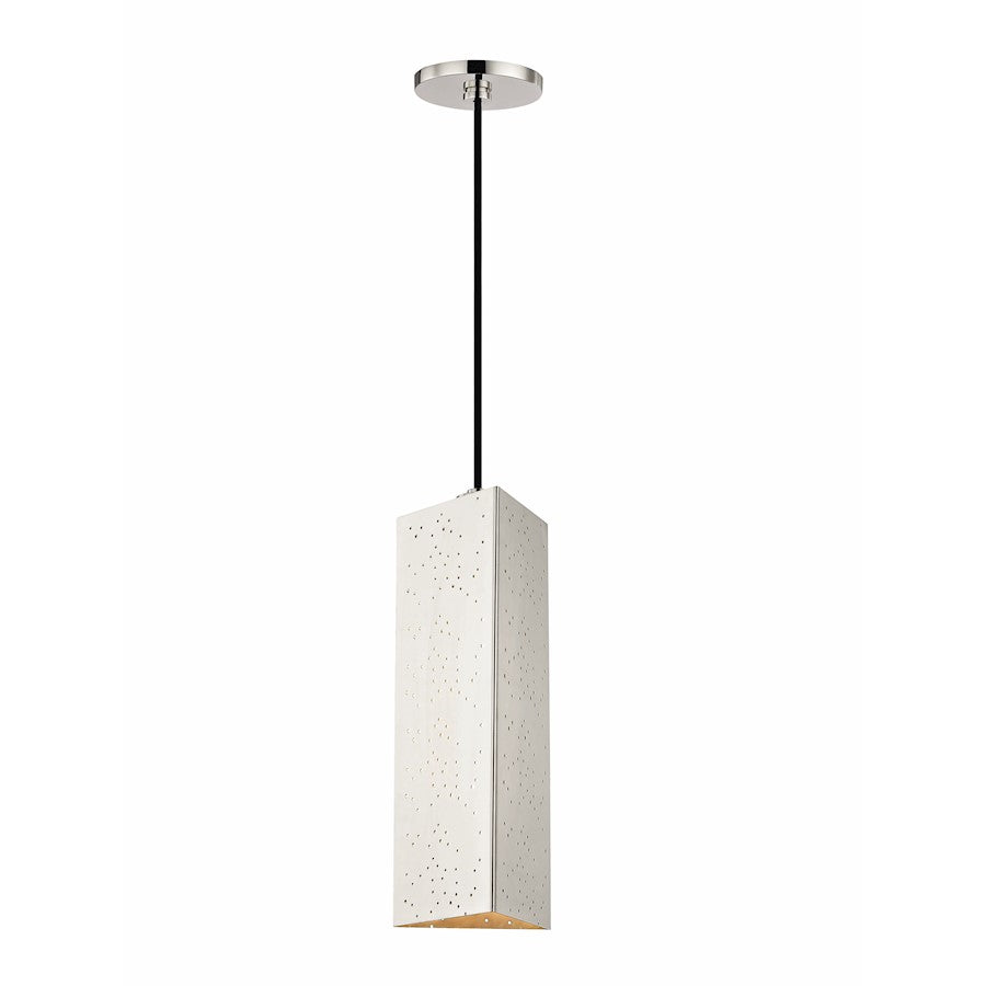 1 Light Pendant