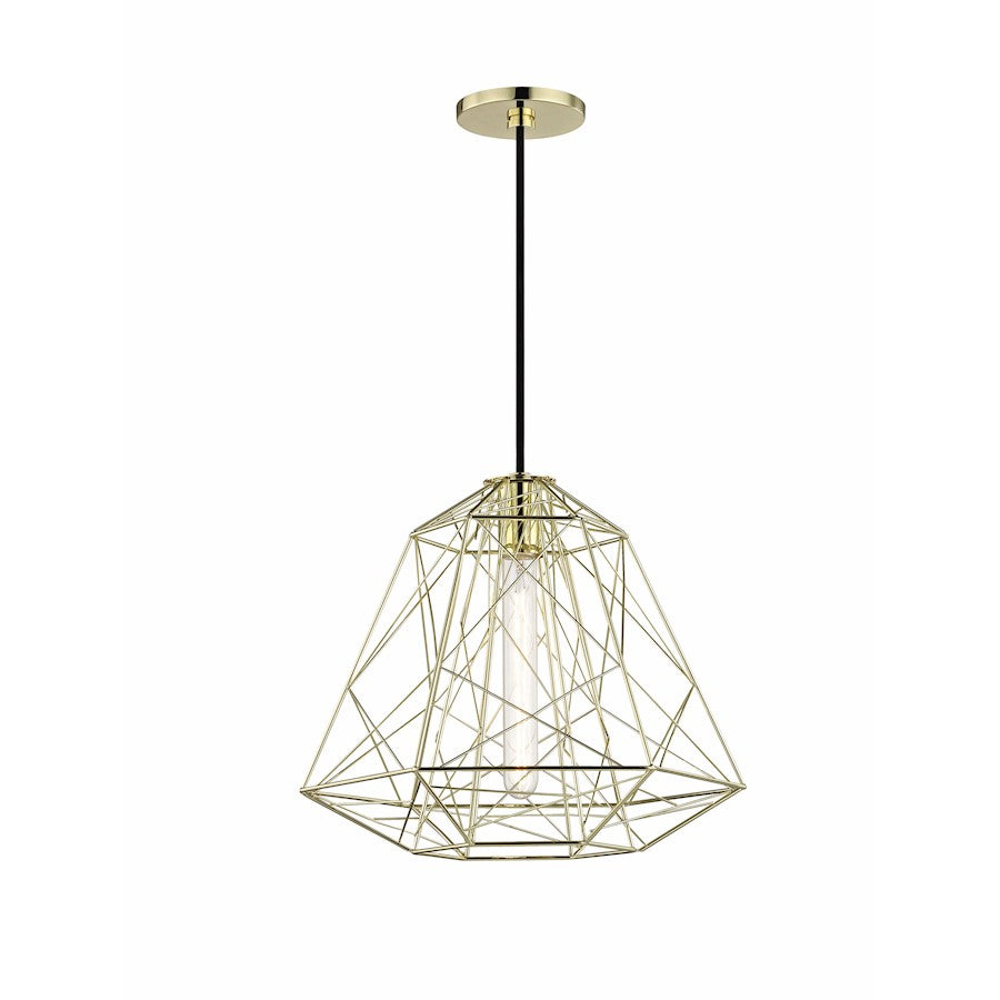 1 Light Pendant