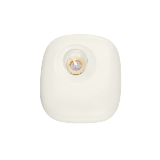 Wall Sconce