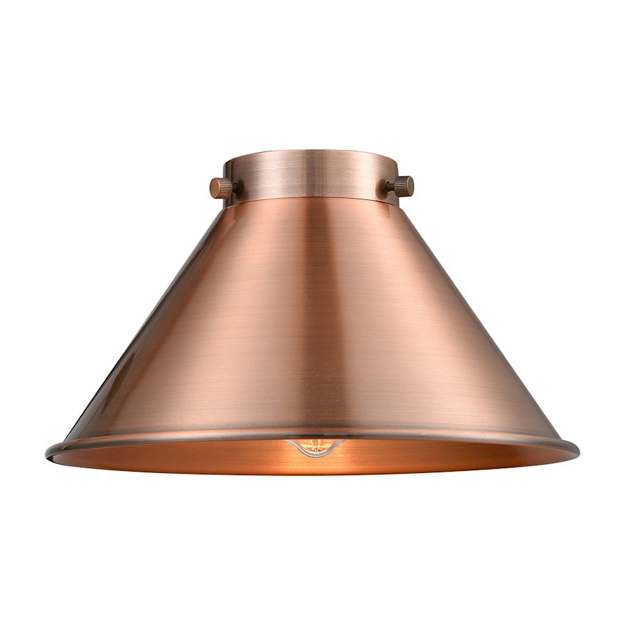 Innovations 10" Briarcliff Metal Shade, AC