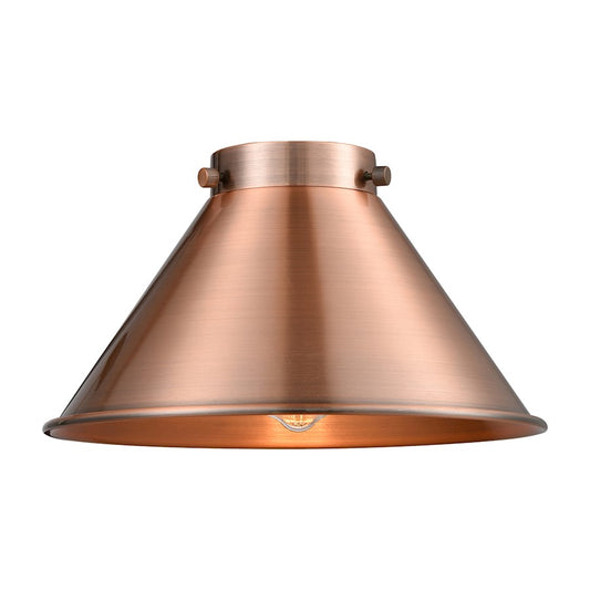 Innovations 10" Briarcliff Metal Shade, AC