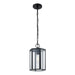 Justice Fusion Edgeworth 1Lt Outdoor Pendant, Black/Clear - FSN-7675W-CLER-MBLK