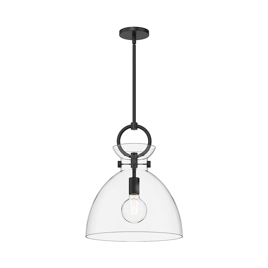 Alora Mood Waldo 1Lt 14" Pendant, Black/Clear - PD411814MBCL