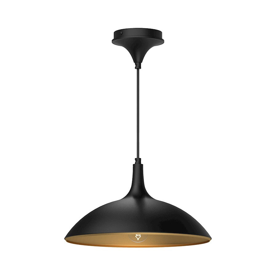 Alora Mood Abel 1 Light 14" Pendant, Matte Black - PD627914MB