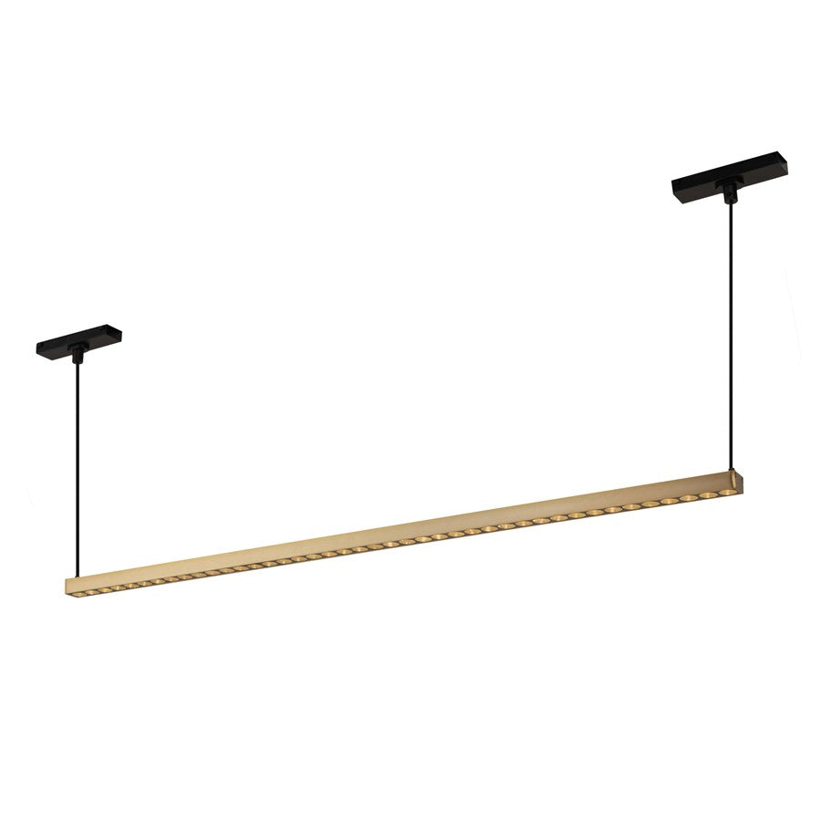 Kuzco Kyan 33" Trilo Track Linear Pendant, 4000K, Brushed Gold - TRL29433-BG-4K