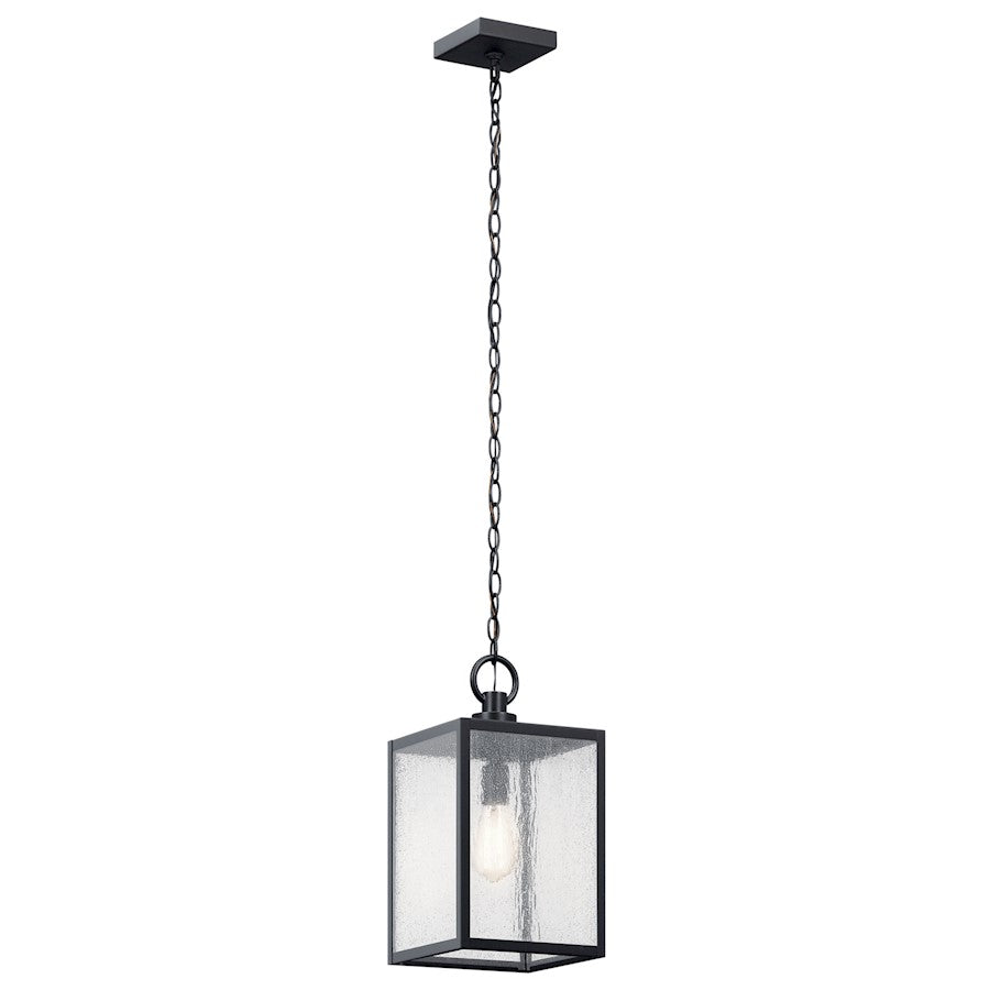1 Light Outdoor Pendant