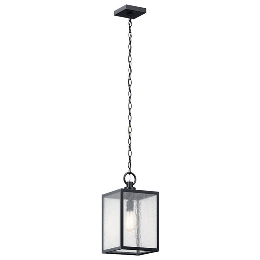 1 Light Outdoor Pendant