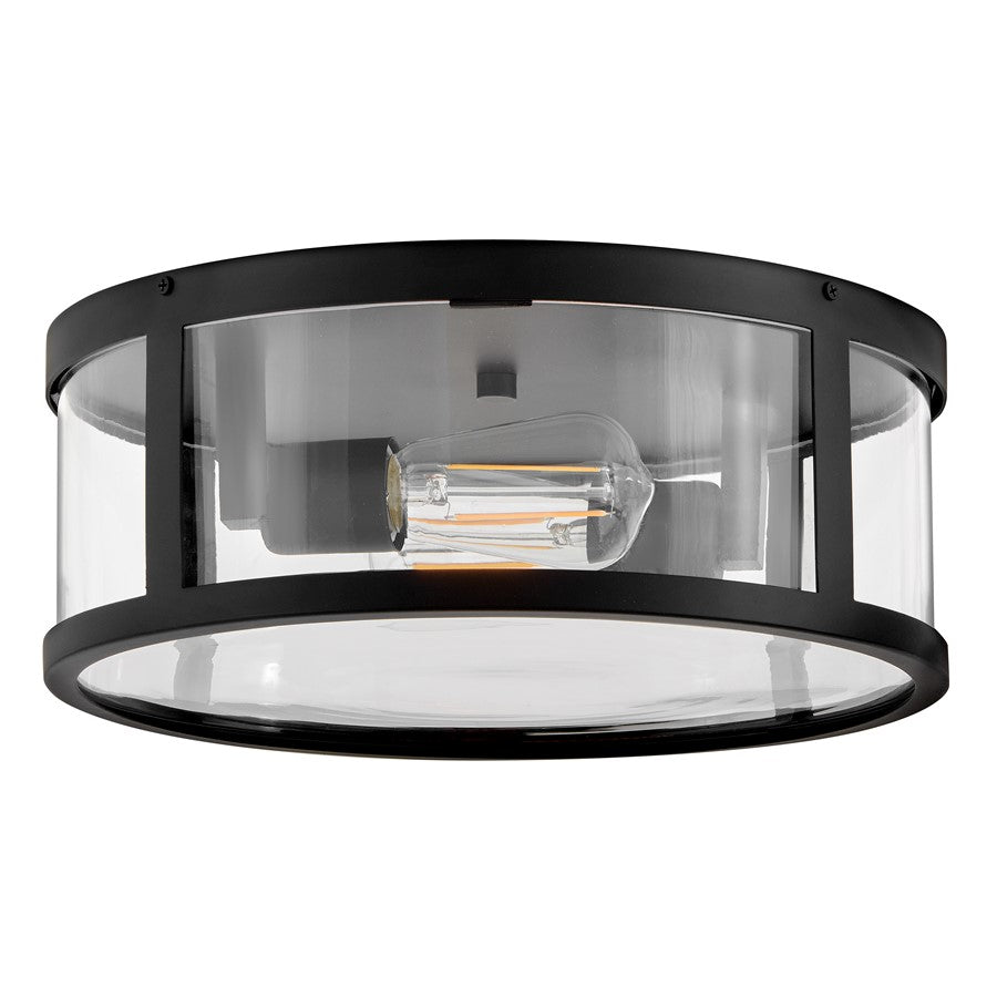 Lark Alfie 2 Light Outdoor 14" Flush Mount, Black/Clear Seedy