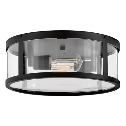 Lark Alfie 2 Light Outdoor 14" Flush Mount, Black/Clear Seedy
