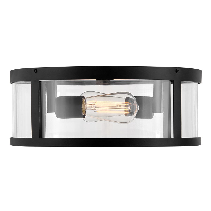 Lark Alfie 2 Light Outdoor 14" Flush Mount, Black/Clear Seedy