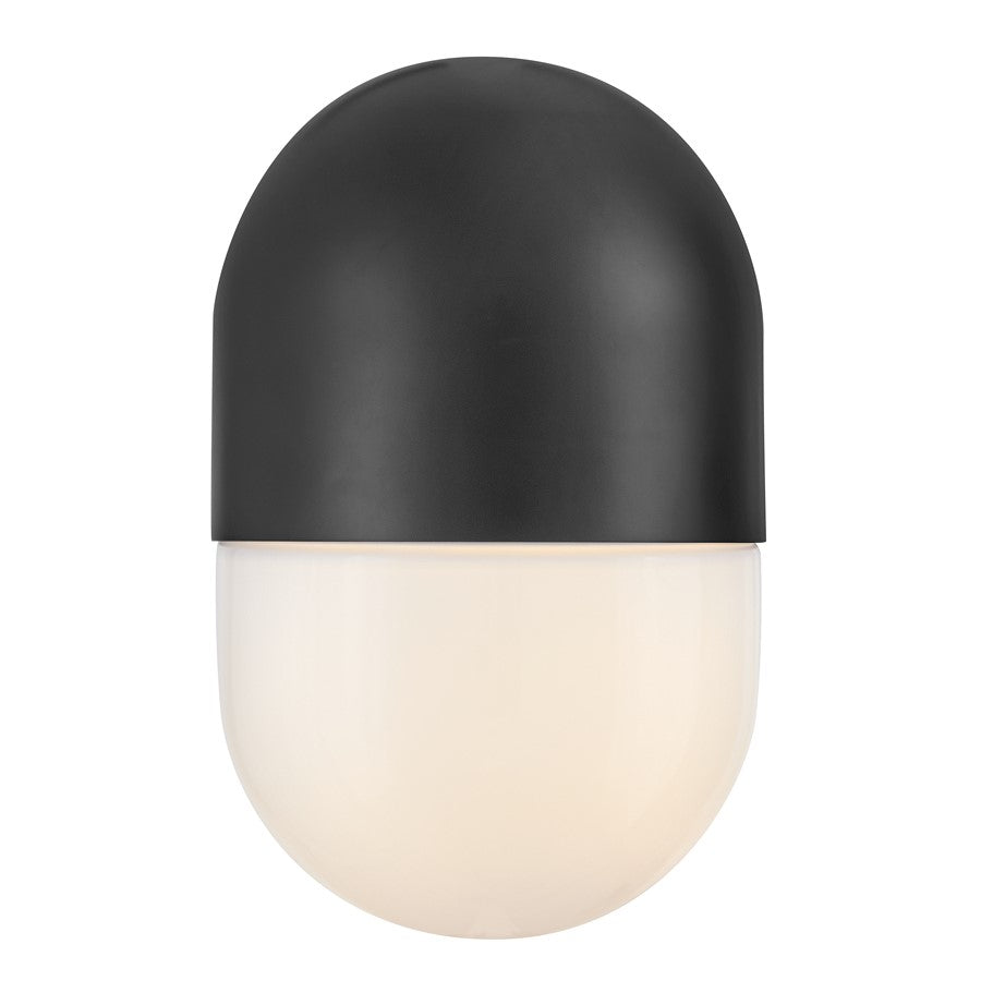 Lark Bardi 1 Light Outdoor 10" Wall Mount Lantern, Black/Cased Opal