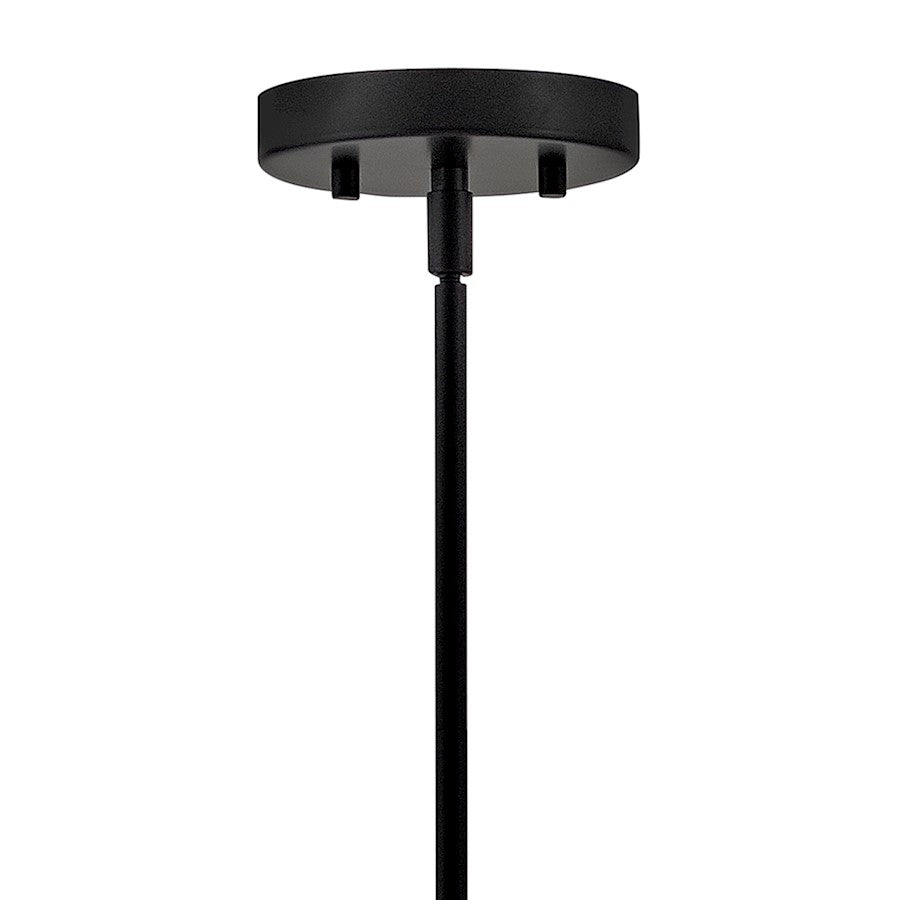 1 Light Medium Pendant, Black