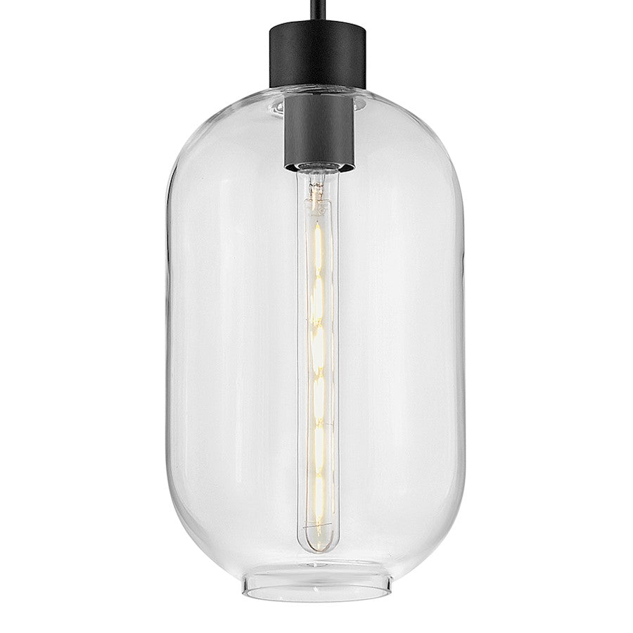 1 Light Small Pendant, Black/Clear