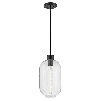 1 Light Small Pendant, Black/Clear