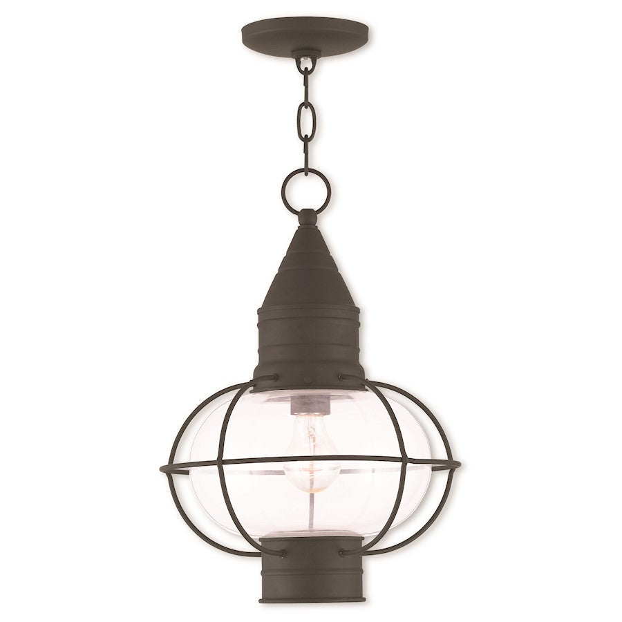 Livex Newburyport 1 Light Outdoor Pendant Lantern, Black/Clear
