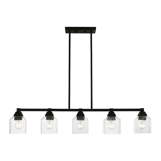 Livex Aragon 5 Light Linear Chandelier, Black/Clear Seeded