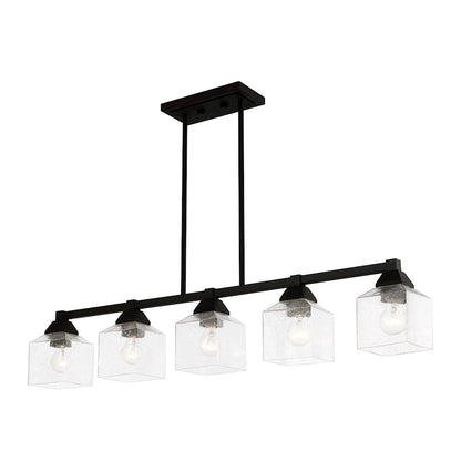 Livex Aragon 5 Light Linear Chandelier, Black/Clear Seeded