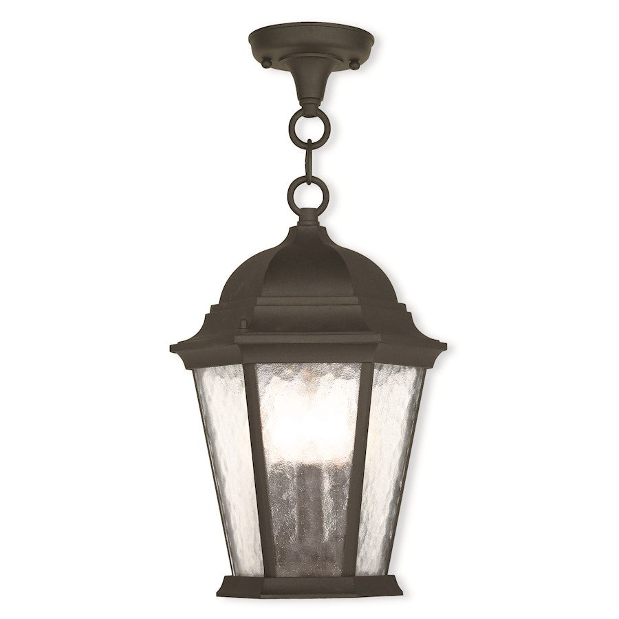 Livex Hamilton 14" 3 Light Outdoor Pendant Lantern, Black/Clear Water