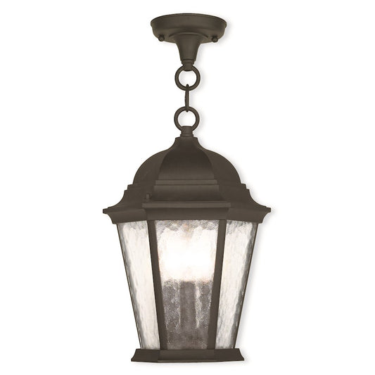 Livex Hamilton 14" 3 Light Outdoor Pendant Lantern, Black/Clear Water