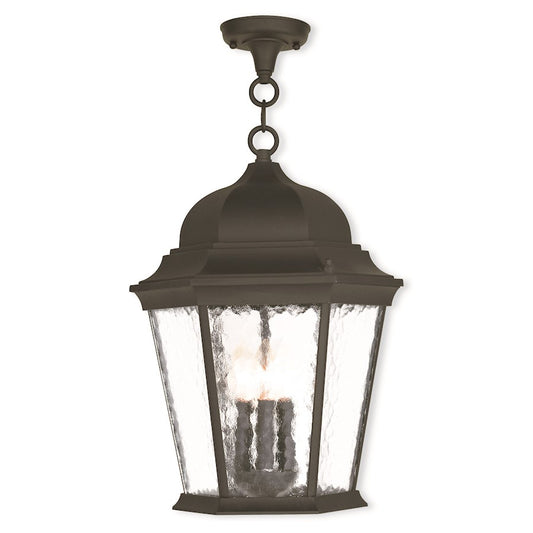 Livex Hamilton 3 Light Outdoor Pendant Lantern, Black/Clear Water