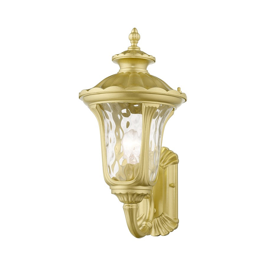Livex Oxford 1 Lt Outdoor Med Wall Lantern, Gold/Clear Water