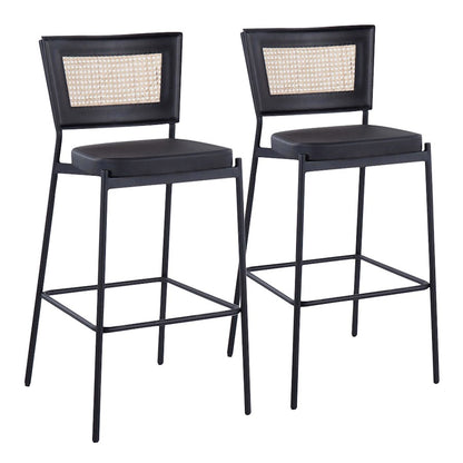 LumiSource Tania Rattan Bar Stool (Set of 2) | Contemporary Black Metal & Rattan Accent | Home Bar & Kitchen Counter | Model B29-RTNTANIABKBK2