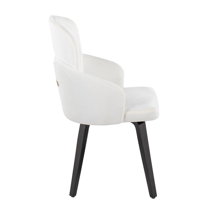 LumiSource Dahlia Dining Chair Set/2 | Black Wood, Cream Velvet & Gold Metal | Dining Room & Kitchen Seating | Model CH-DAHLIA2-WBKVCR2