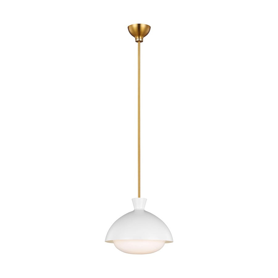 1 Light Large Pendant, White/Brass