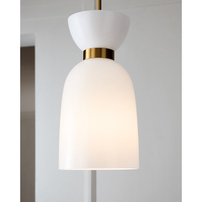 1 Light Tall Pendant, Brass