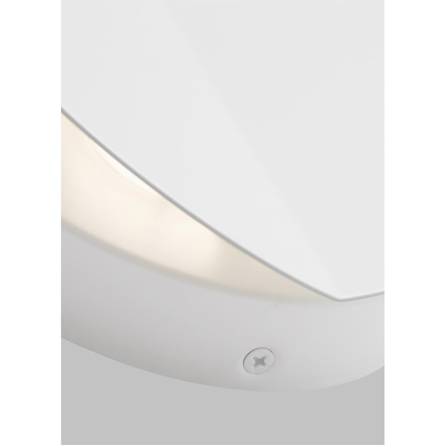 1 Light Small Wall Sconce