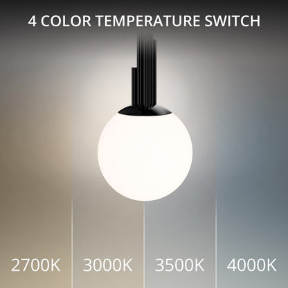 Modern Forms Sybil 10" LED Mini-Pendant, 3500K, BK Nickel/Opal