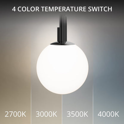 Modern Forms Sybil 1Lt 14" LED Pendant, Black Nickel/Opal