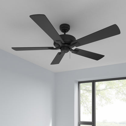 RP Lighting Brisden 5Bld 52" Ceiling Fan, Matte Black