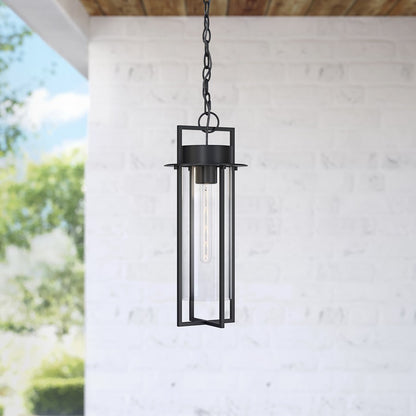 Millennium Lighting Russell 1Lt Outdoor Pendant, Coated Black/Clear