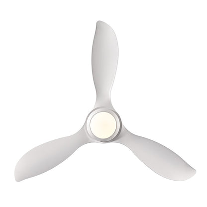 RP Lighting Wynleaf 3Bld 52" LED Ceiling Fan, White/Etched