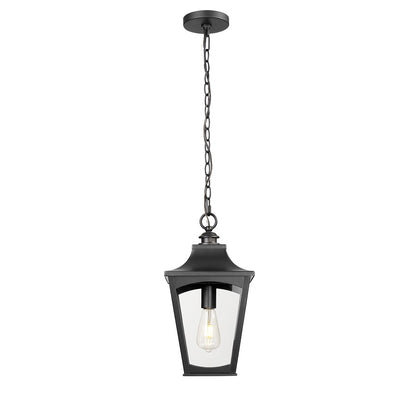 Millennium Lighting Curry 1Lt Outdoor Pendant, Coated Black/Clear - 10931-PBK