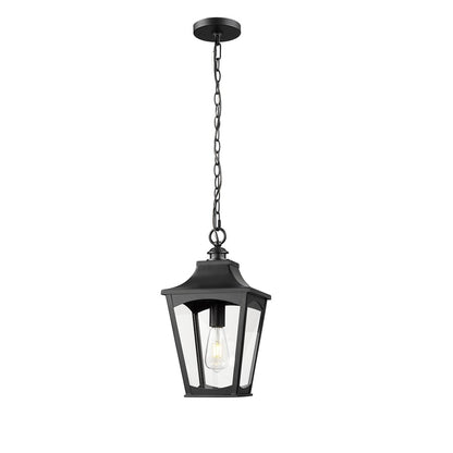 Millennium Lighting Curry 1Lt Outdoor Pendant, Coated Black/Clear