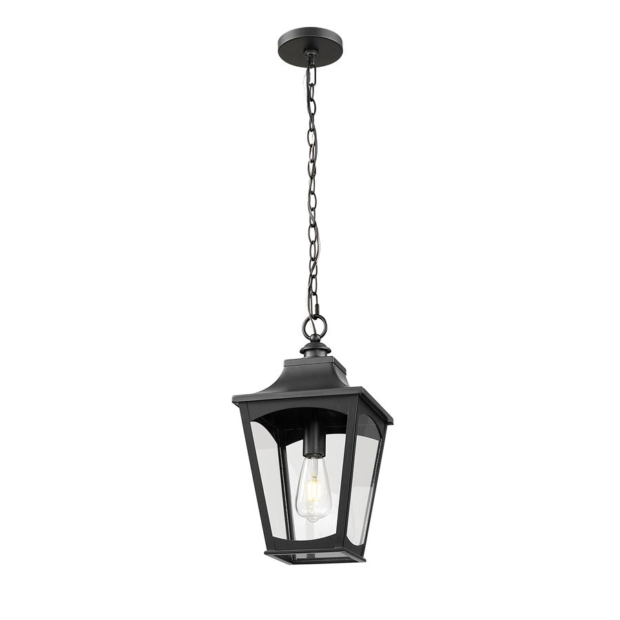 Millennium Lighting Curry 1Lt Outdoor Pendant, Coated Black/Clear